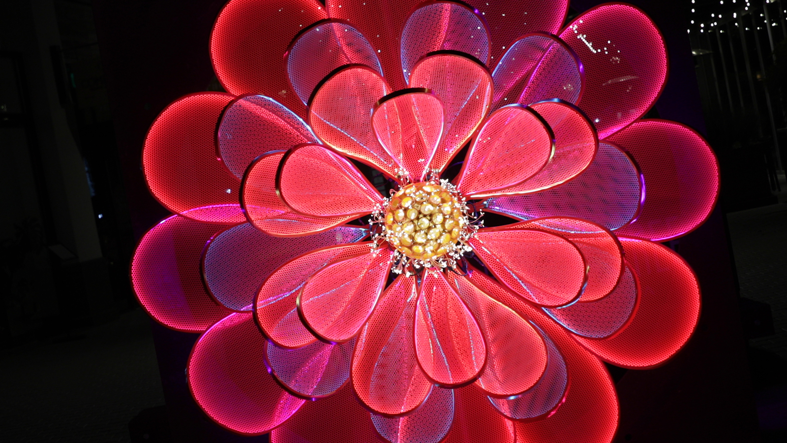 Napa Lighted Art Festival shines light on an exciting way to enjoy