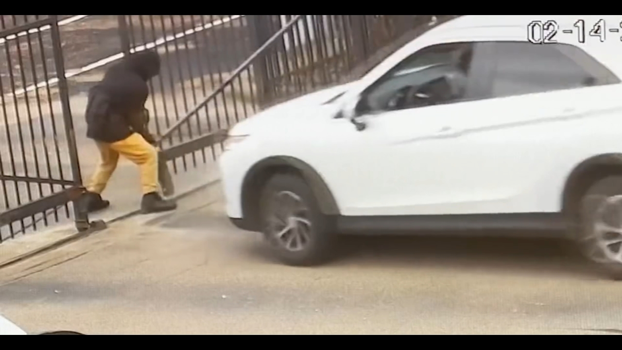 Footage shows suspects moments after grandmother killed for her car