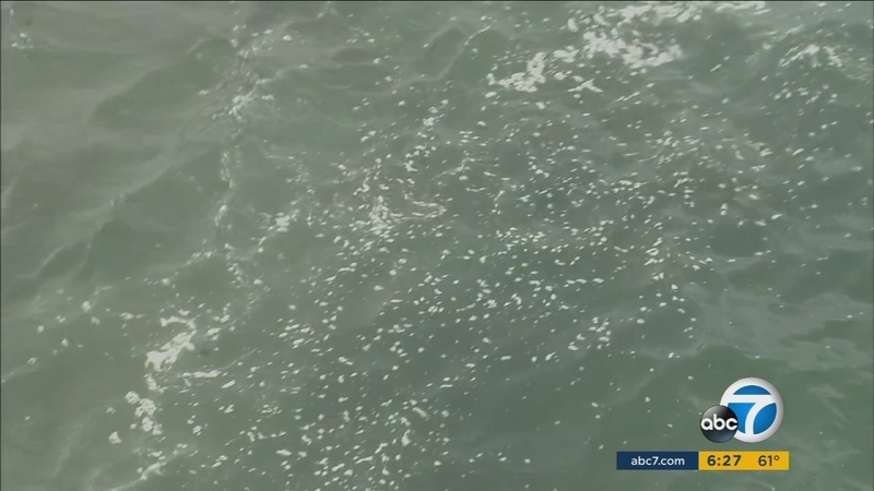 What S The Brown Foam In Water Along Huntington Beach Abc7 Water Along Huntington Beach
