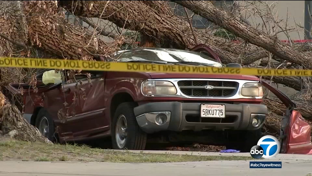 Woman killed by large falling tree at Anaheim park identified