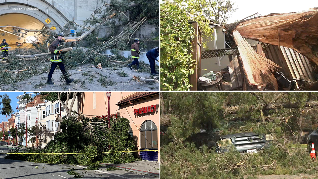Strong winds topple trees, knock out power across Bay Area