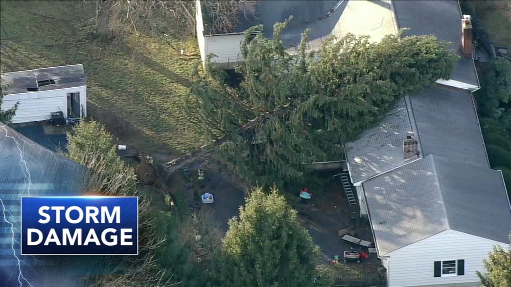 Trees down, buildings damaged after possible tornado in NJ
