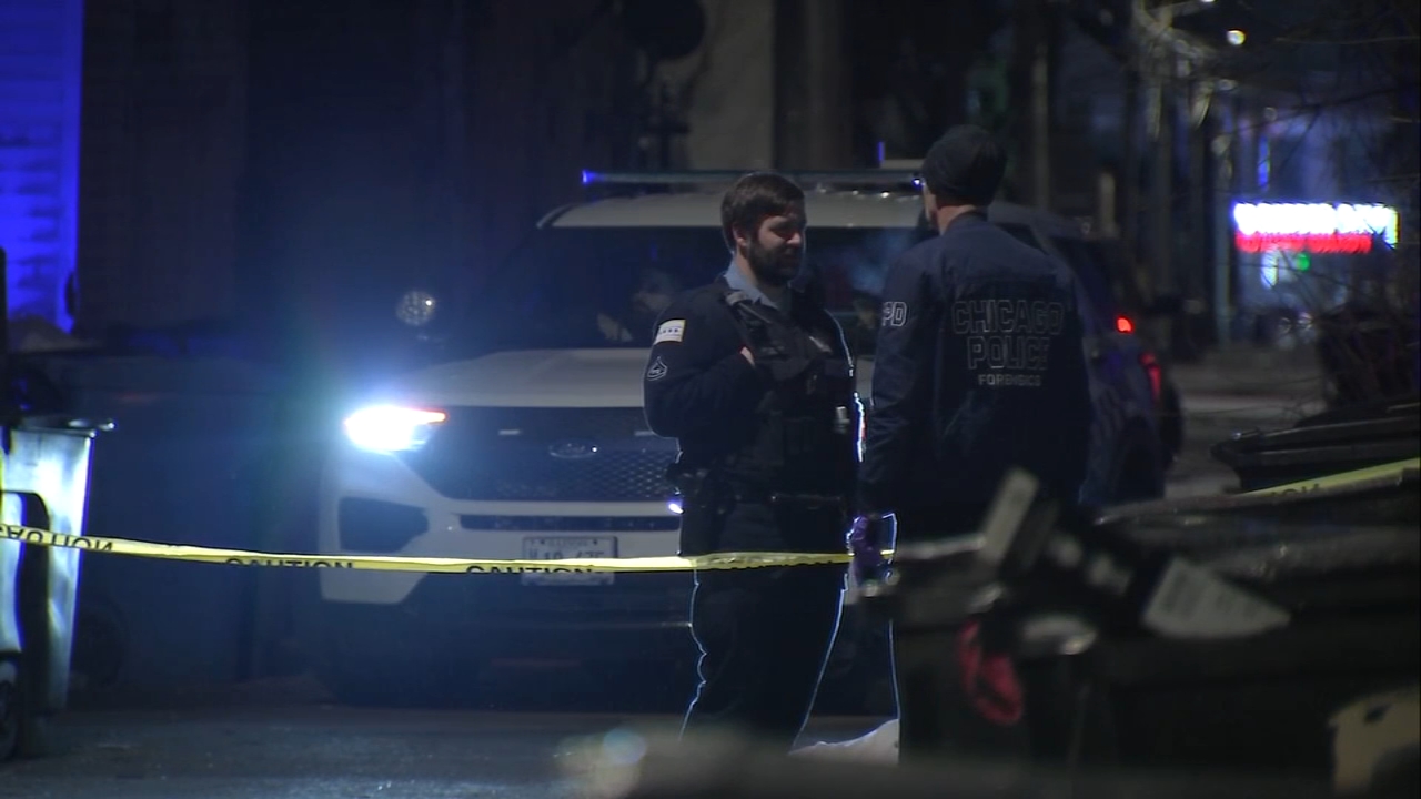 Body found in Little Village alley appears to be young woman