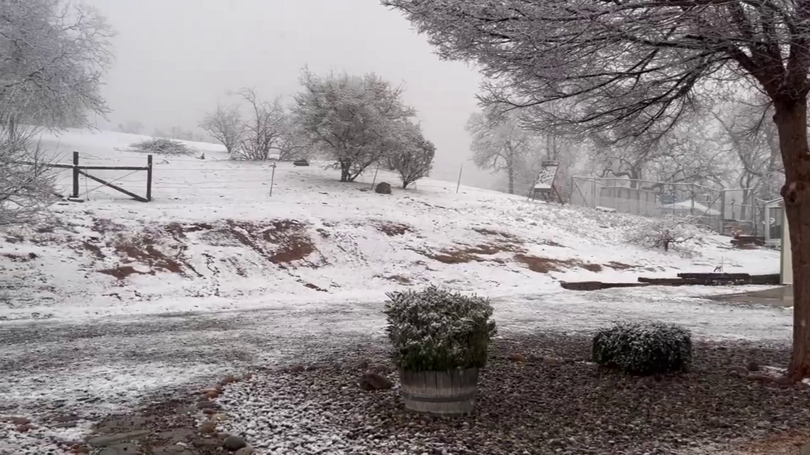 Coarsegold covered in snow for the first time in years ABC30 Fresno