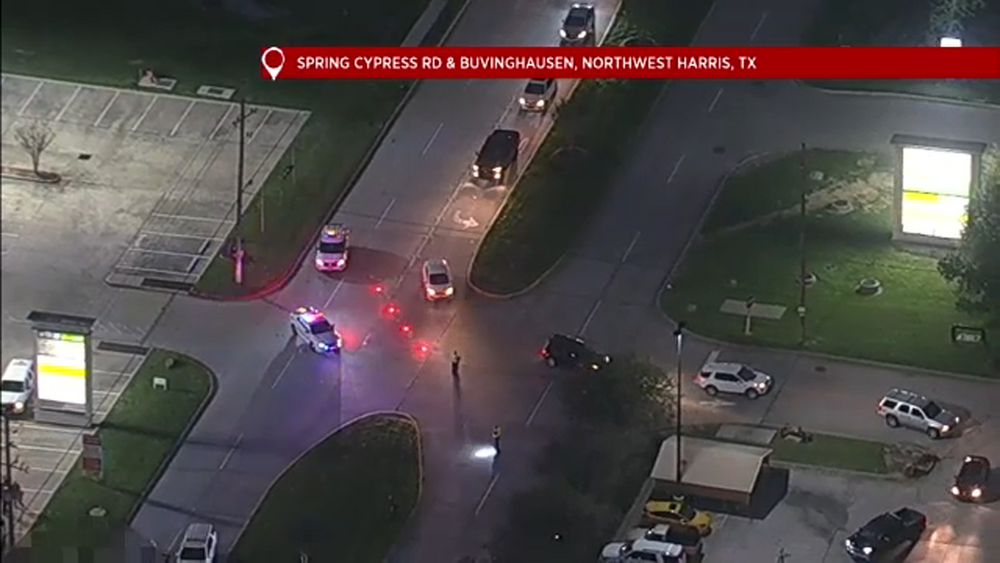 15-year-old hit and killed was special needs teen who left home: HCSO