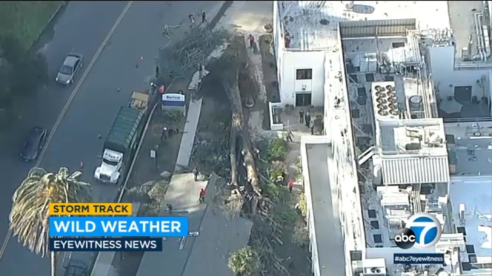 LA storm leaves trail of damage as strong winds knock down trees in ...