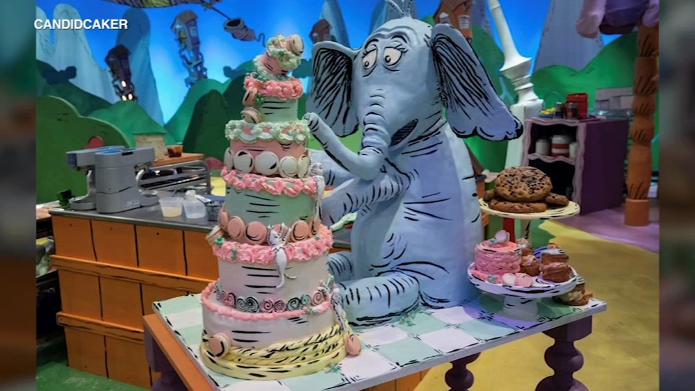 Chicago baker wins 'Dr. Seuss Baking Challenge' on Amazon Prime