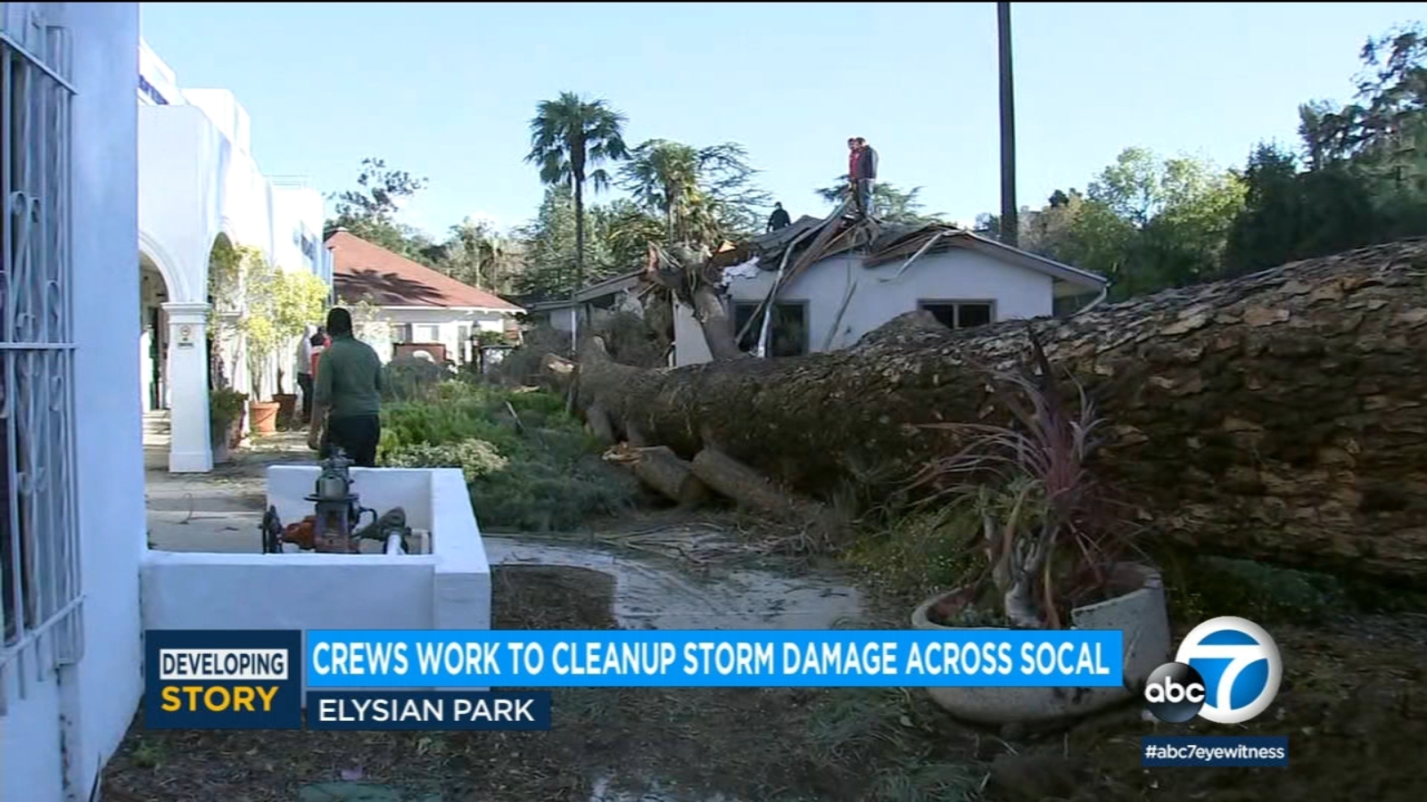 Strong wind knocks down large trees across Los Angeles, leaving LADWP ...
