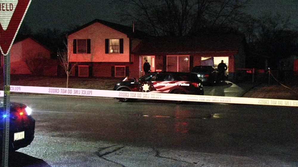 Suspect in custody after deadly possible suburban home invasion