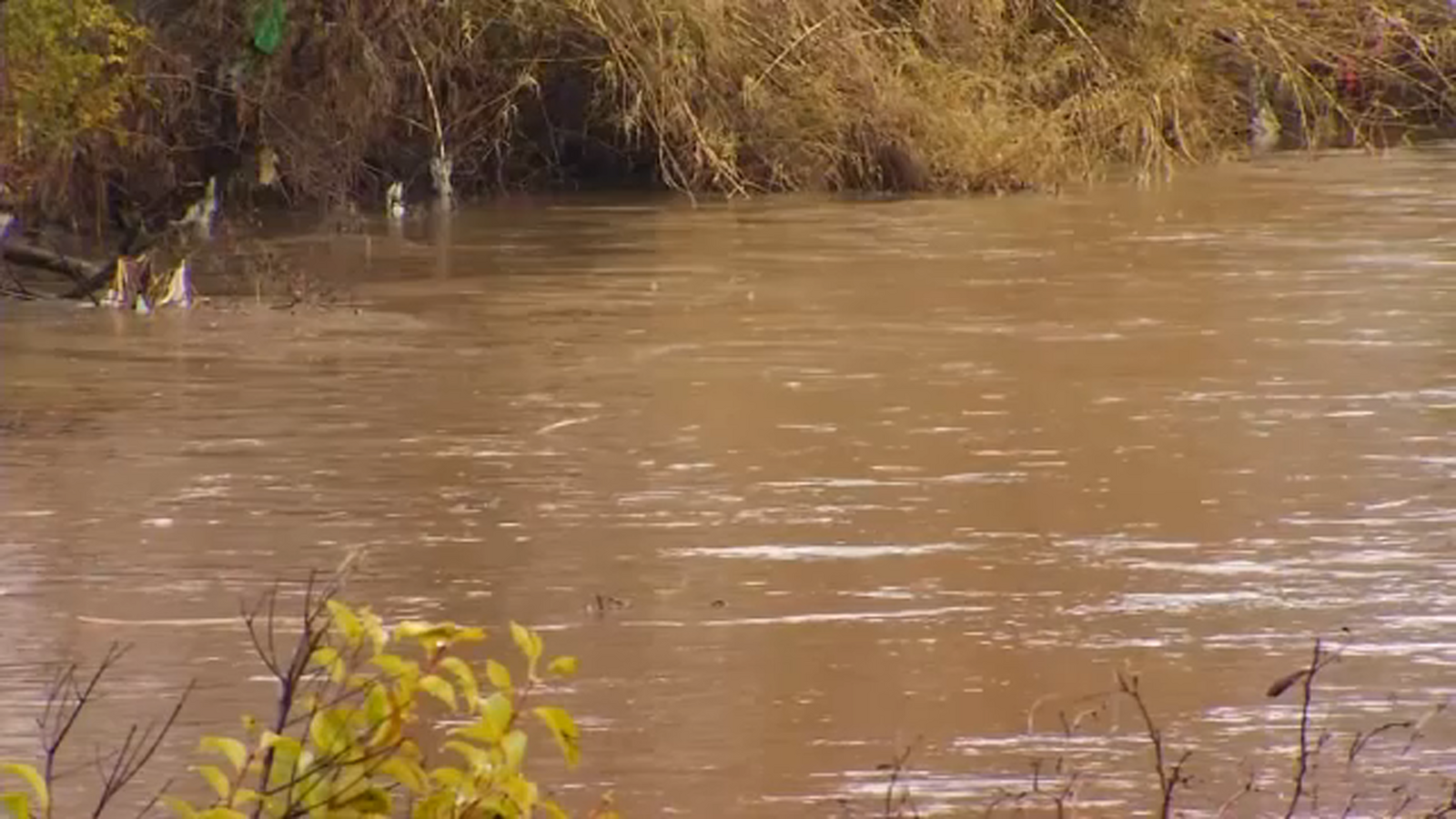Surging Bear Creek causing flood concerns in Merced neighborhoods