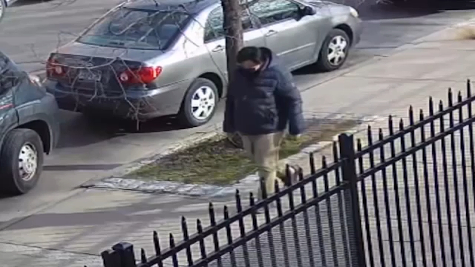 Surveillance video released of suspect who punched 74-year-old in her ...