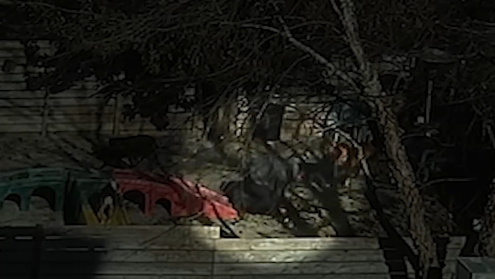 Disturbing video shows alleged animal abuse at NJ dog training center