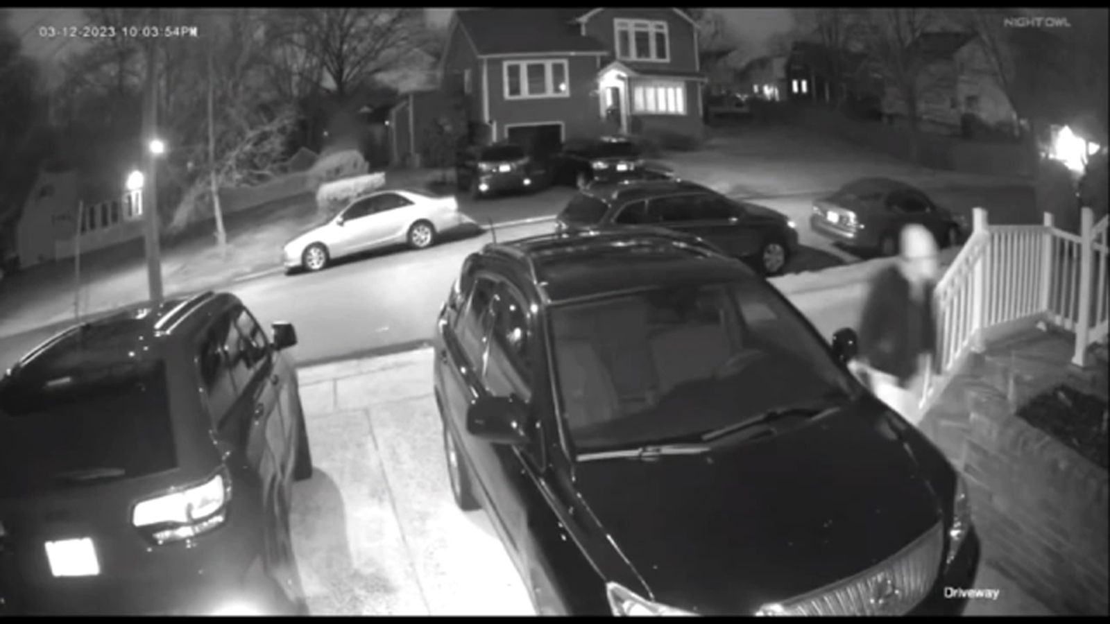 Man charged after leaving dead cat in New Jersey family mailbox in Cranford - Vimarsana News