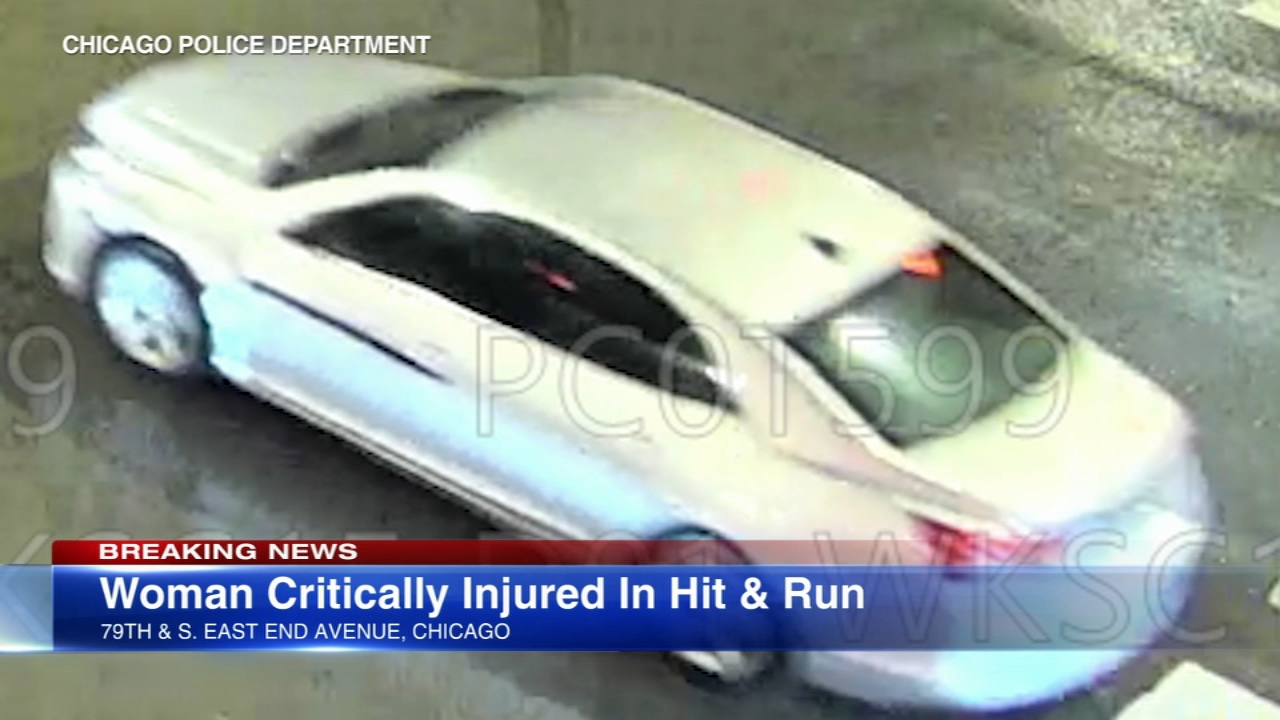 CPD releases surveillance images in Avalon Park hit-and-run