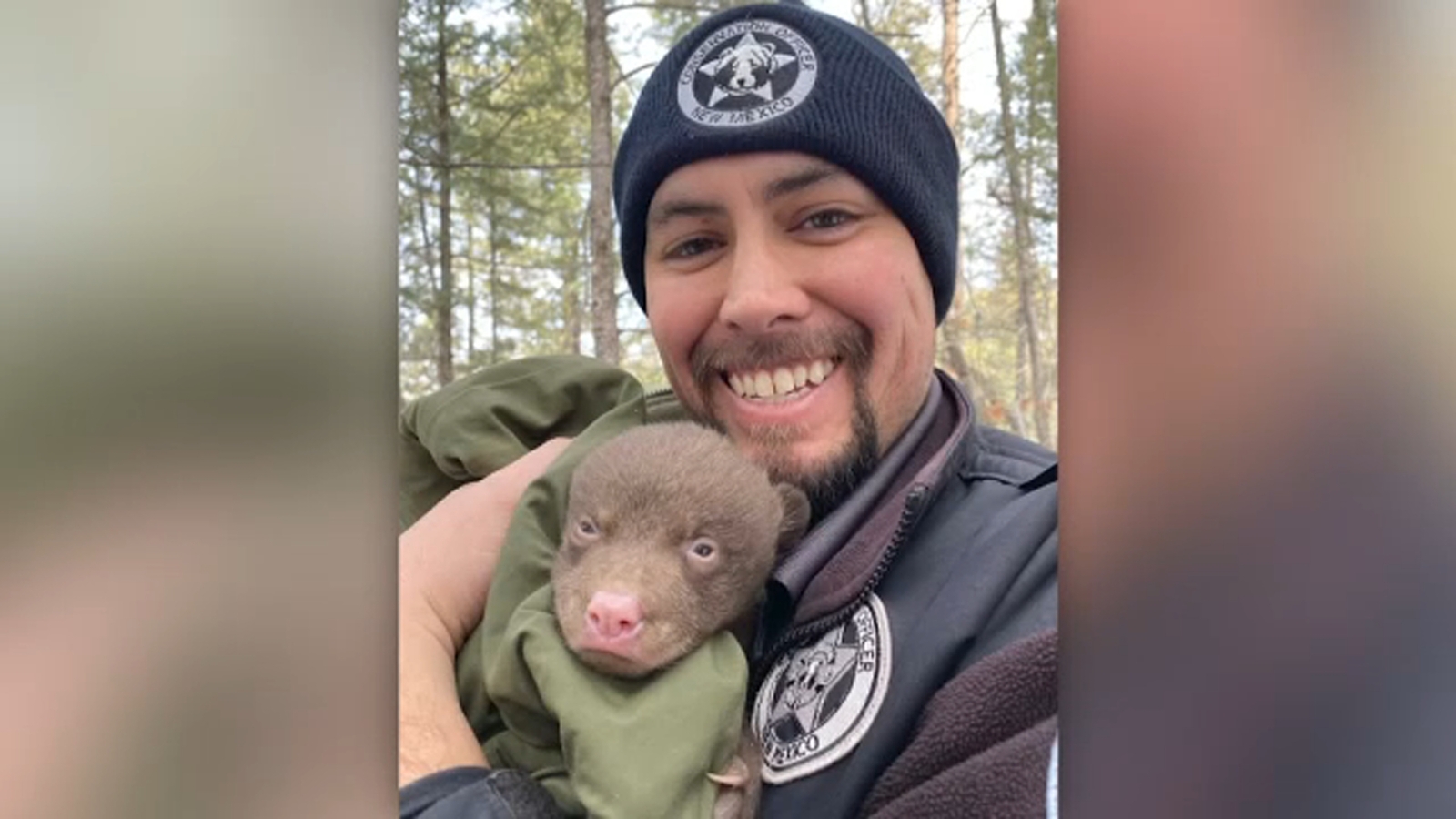New Mexico wildlife agency hiring 'professional bear huggers' - ABC7