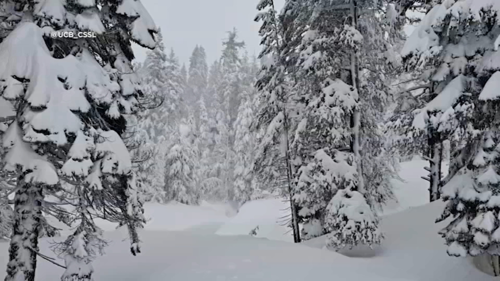Sierra Nevada sees 2nd snowiest winter on record with another storm on the way, UC Berkeley Central Sierra Snow Lab reports - Vimarsana News