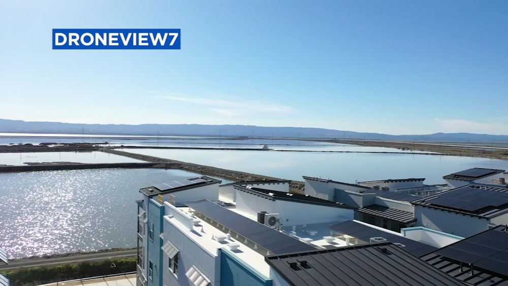 Bay Area ponds at center of multi-million dollar pipeline proposal