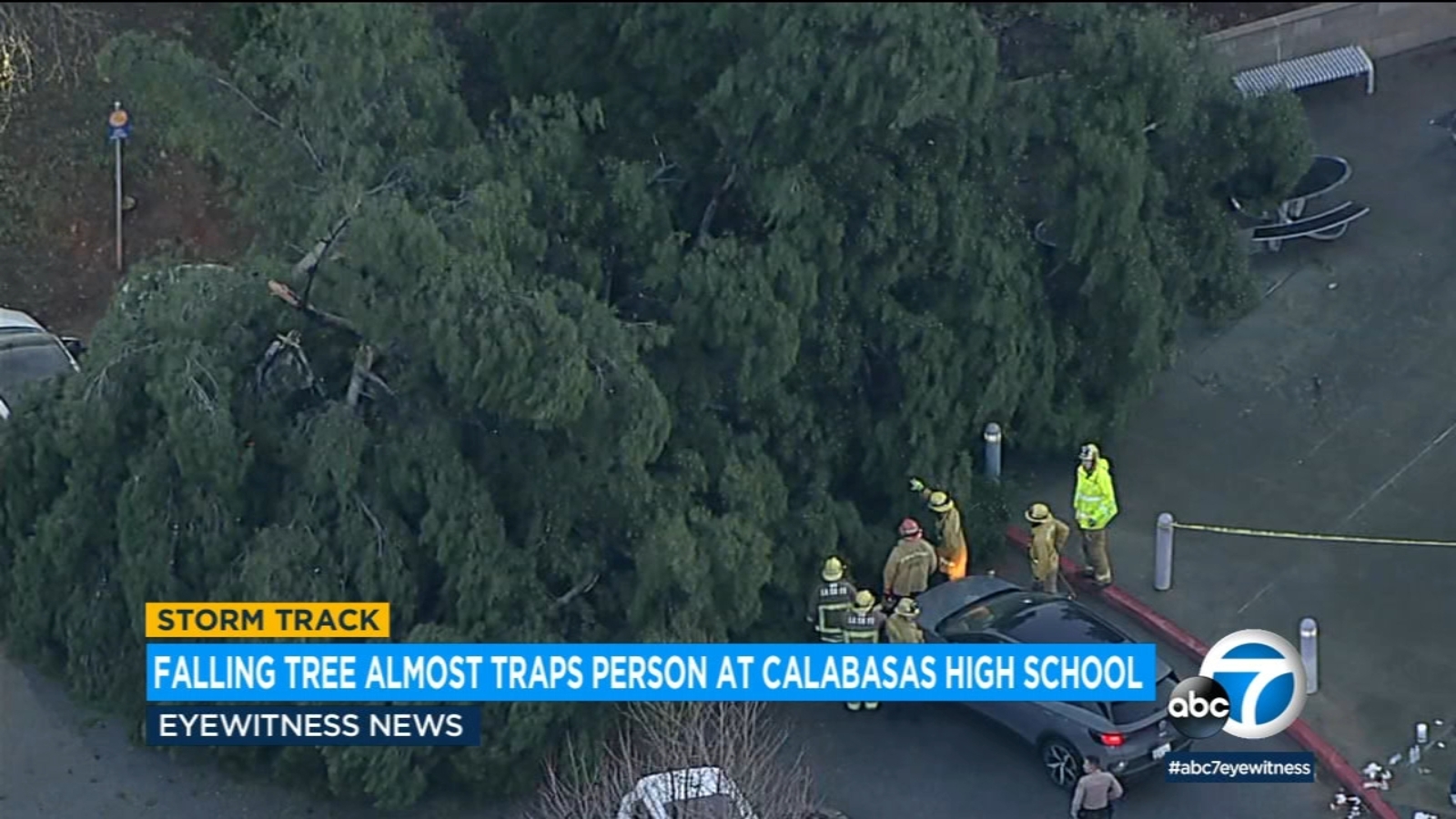 Person rescued from being trapped under falling tree outside Calabasas High School during 'Singing in the Rain' show - Vimarsana News