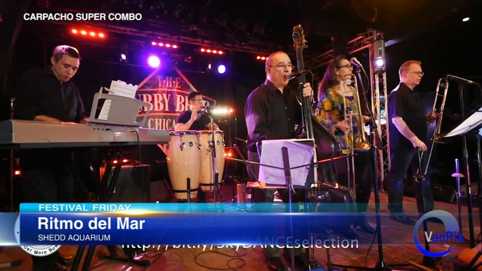 Festival Friday with Roz Varon - Vimarsana News