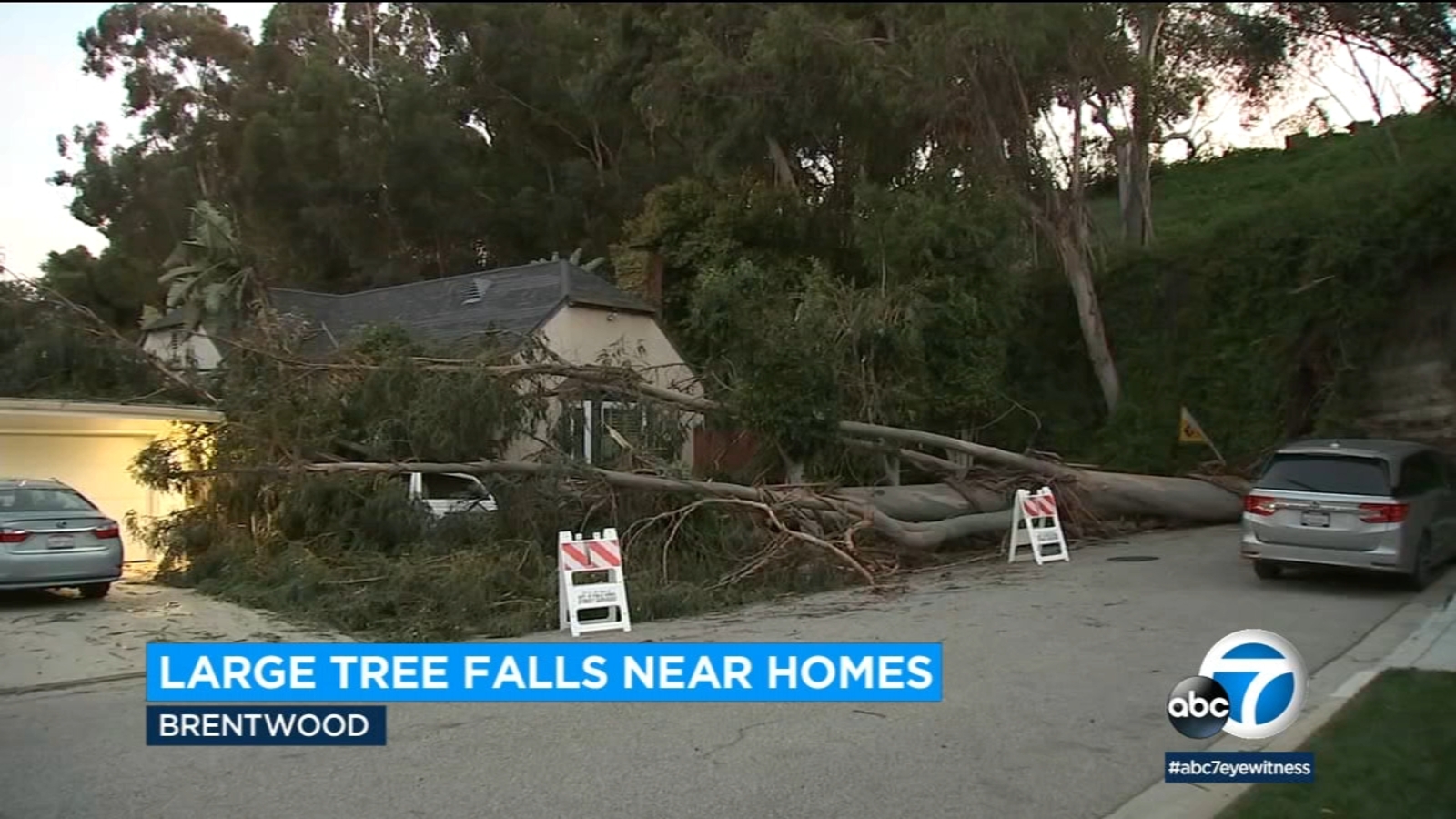 Brentwood homes damaged by large falling tree as more wind is expected Monday and into this week in Southern California - Vimarsana News