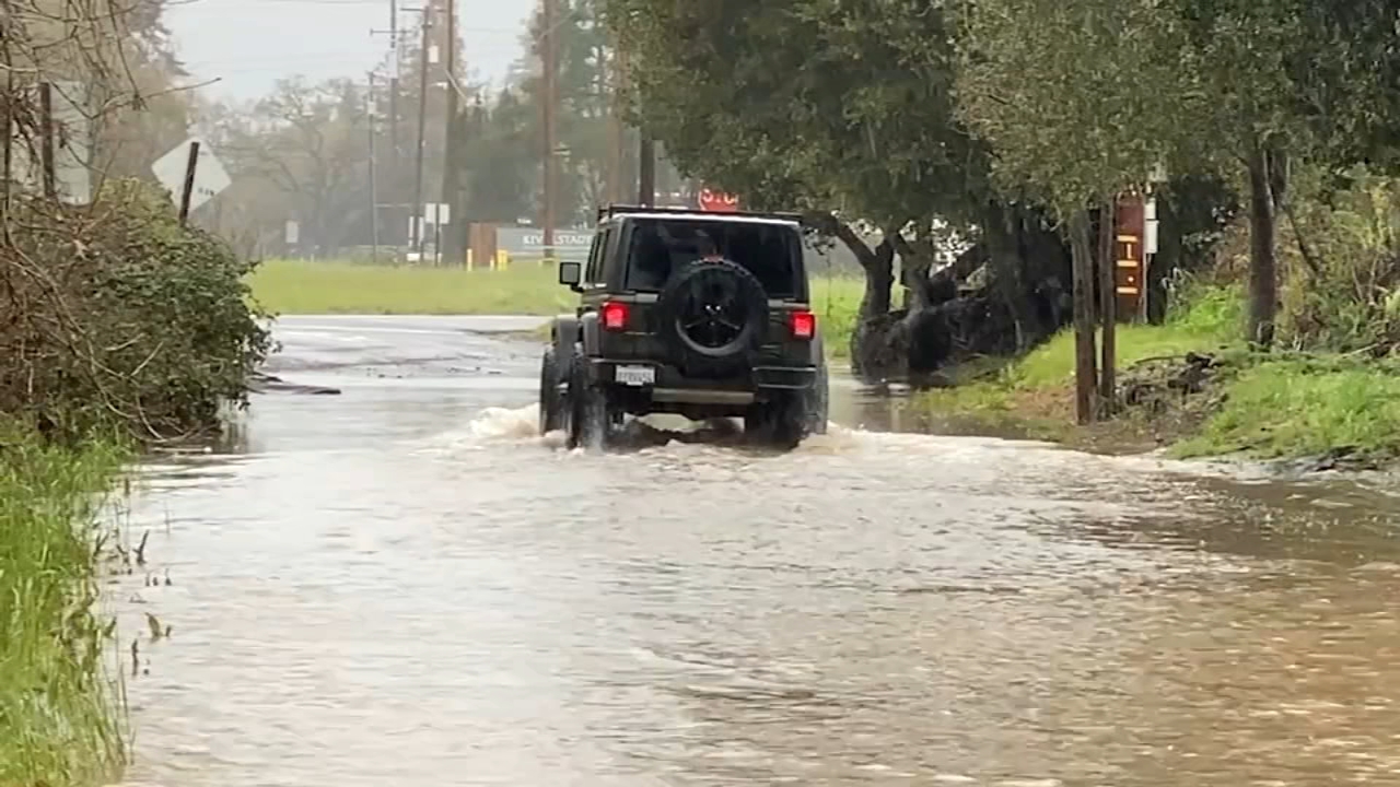 ABC7 News Coverage: Rain, wind, fallen trees around Bay Area 