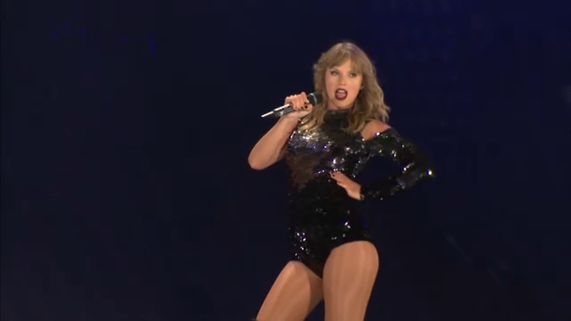 PAWS Chicago launches Taylor Swift concert ticket giveaway