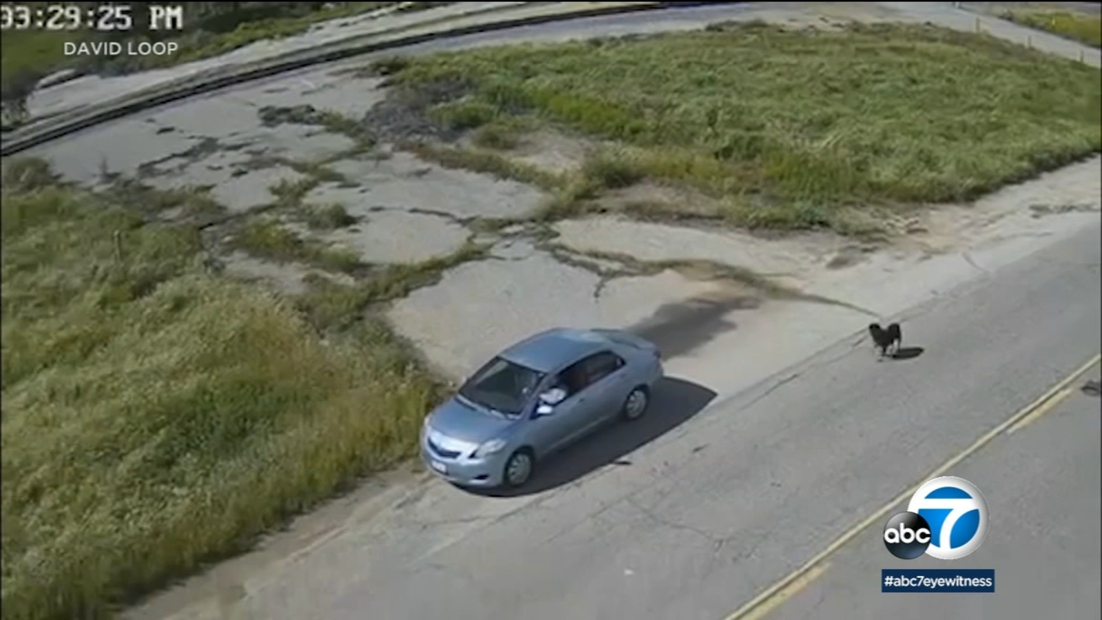 Riverside County: Surveillance video captures 2 incidents in which dogs are left on side of road in Rubidoux - Vimarsana News