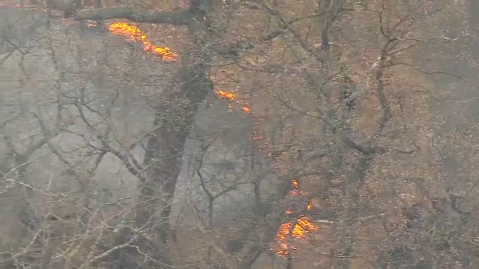 Woodland fire warning issued in Westchester County, officials say - Vimarsana News