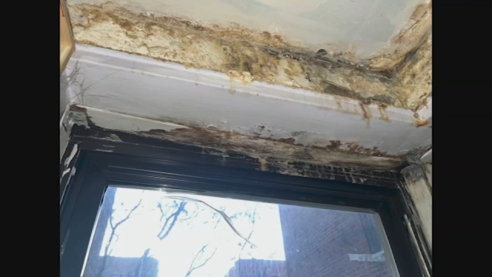 Brooklyn landlord with over 500 violations taken to court by tenants - Vimarsana News