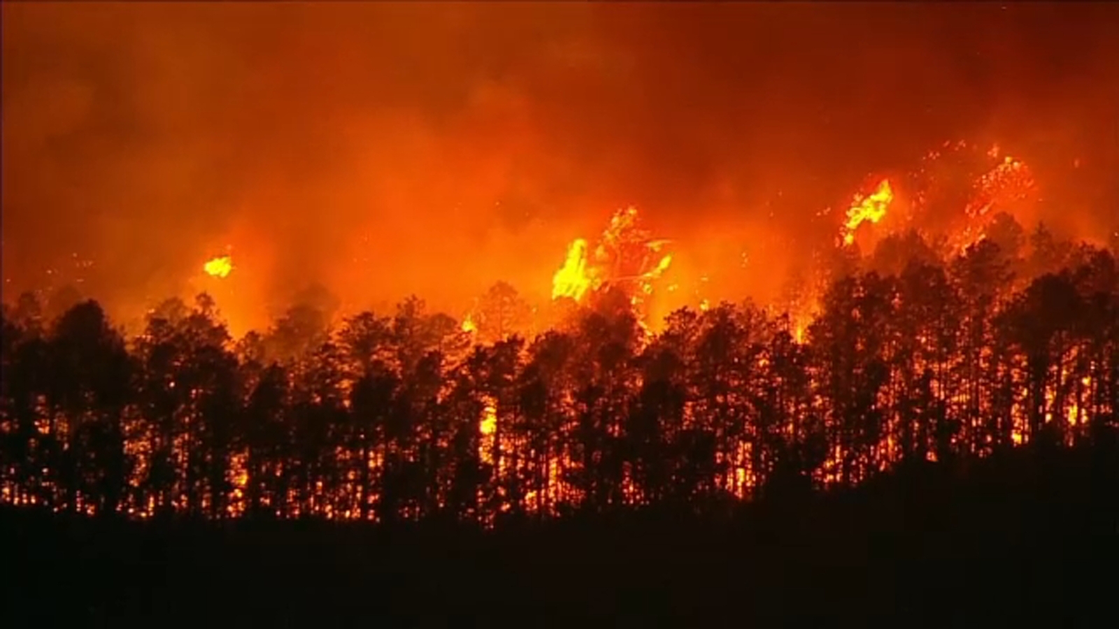 Crews battling forest fire in Manchester Township, Ocean County; 25 structures threatened - Vimarsana News