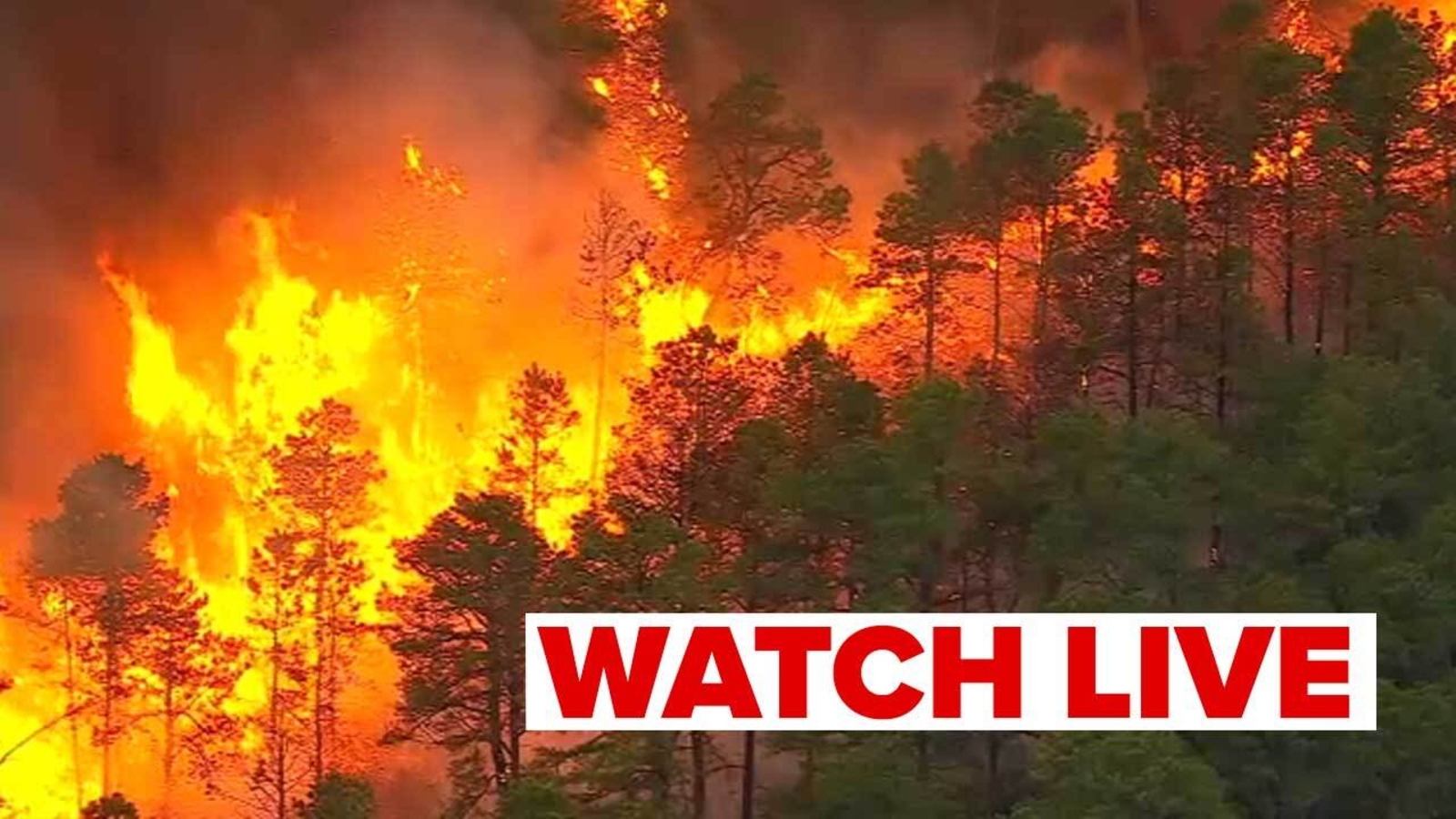 Crews battle forest fire in Manchester Township, Ocean County; Residents able to return home after evacuation orders - Vimarsana News