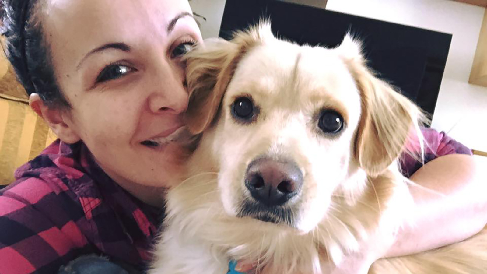 Dog joyfully reunites with owner after seven months ABC7 Chicago