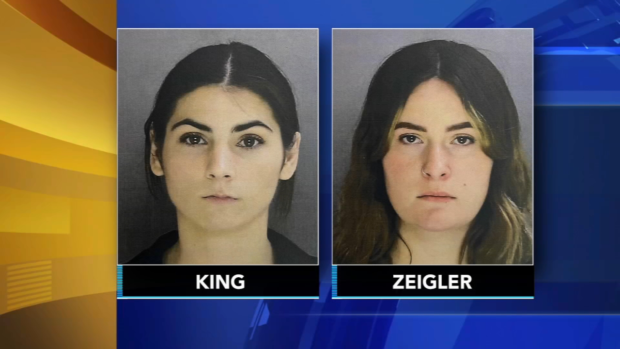 2 women steal money, identity from fmr. boss to buy luxury items: DA