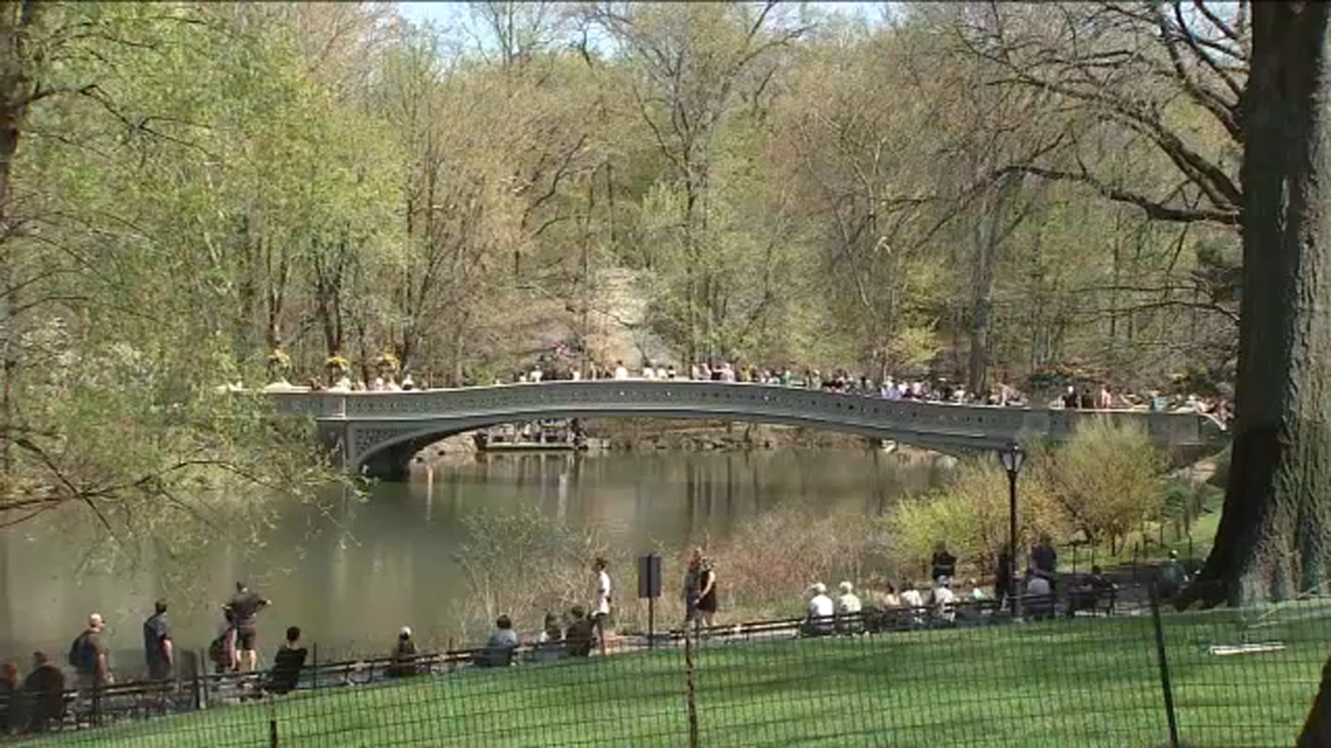 New York experiences summer-like weather in spring