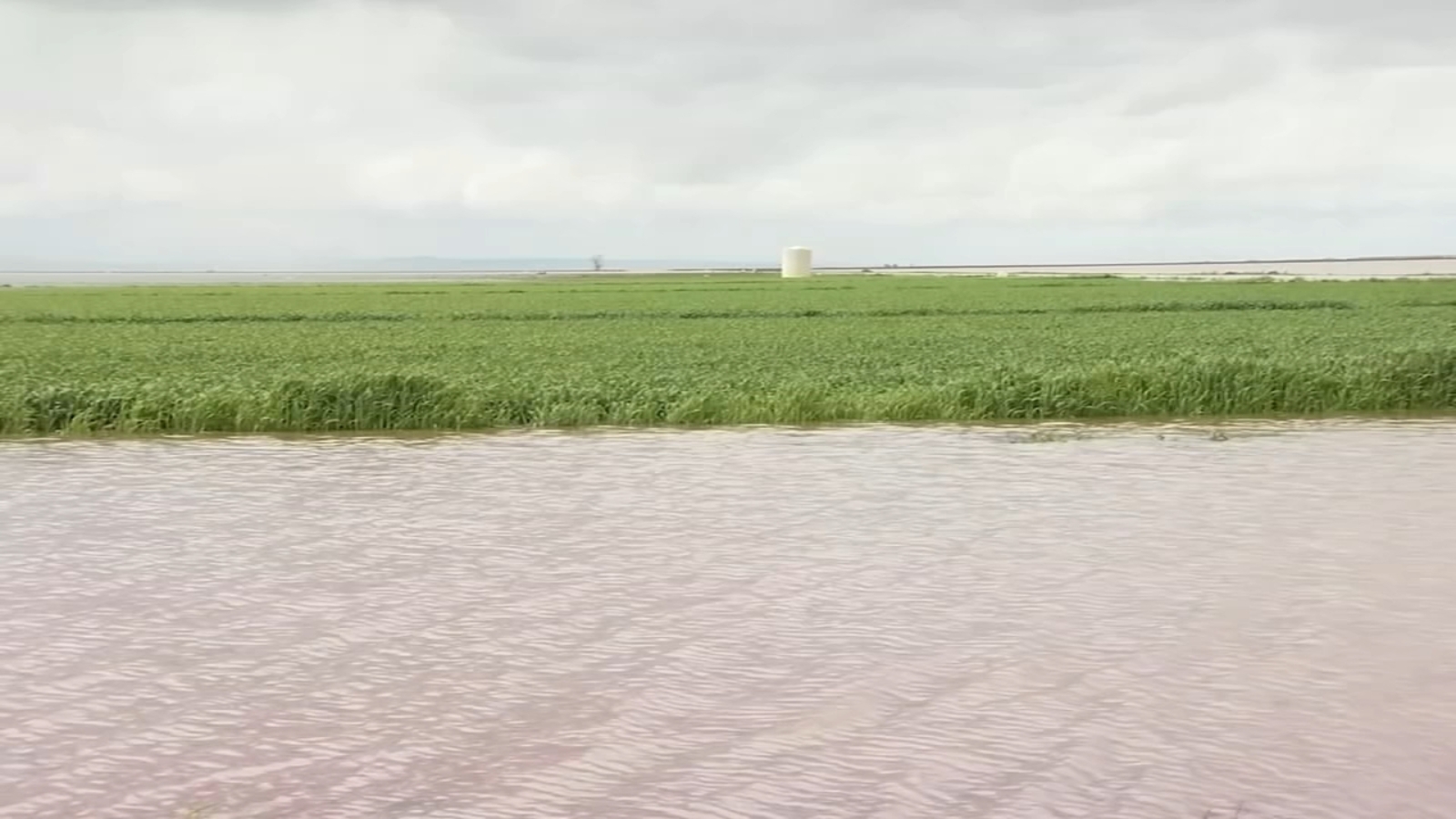South Valley Ag suffers millions of dollars in damages after recent floods - Vimarsana News