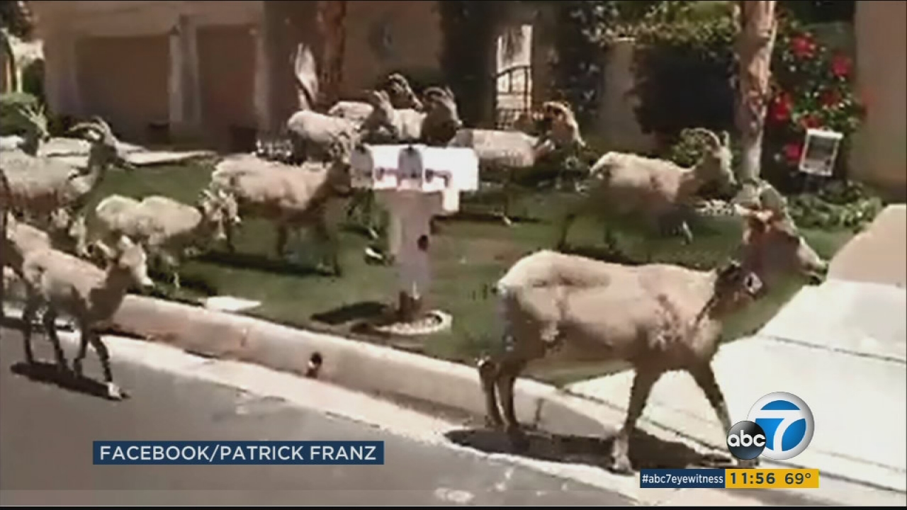 La Quinta News Abc7 Los Angeles