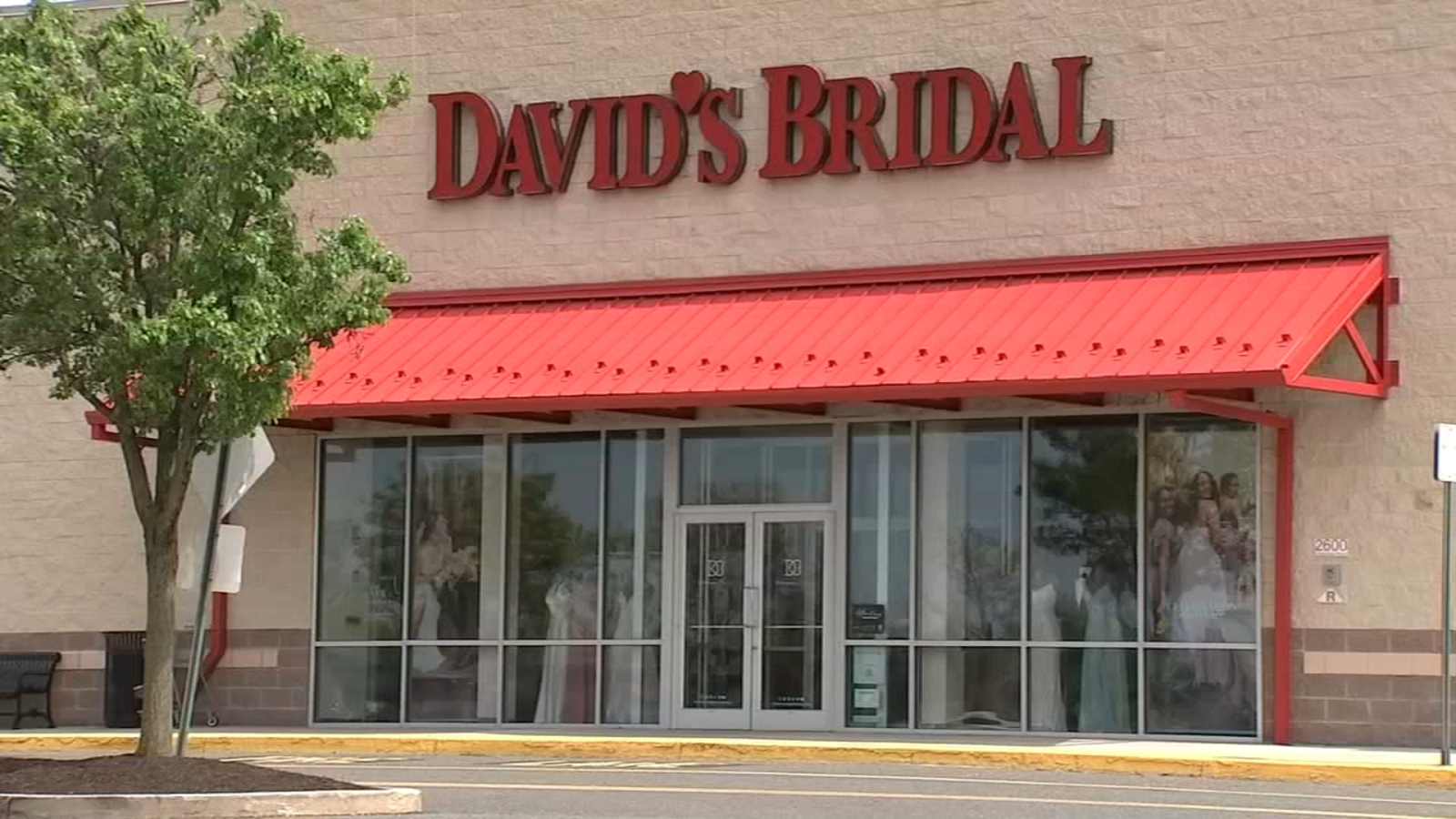 Pennsylvaniabased Davids Bridal files for Chapter 11 bankruptcy protection days after announcing layoffs WPVITV Pennsylvaniabased Davids Bridal files for Chapter 11 bankruptcy protection days after announcing layoffs WPVITV