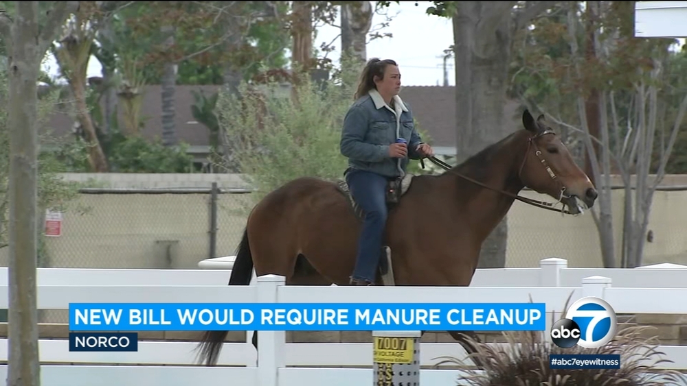 Norco at odds with bill requiring owners to pick up their horse's poop