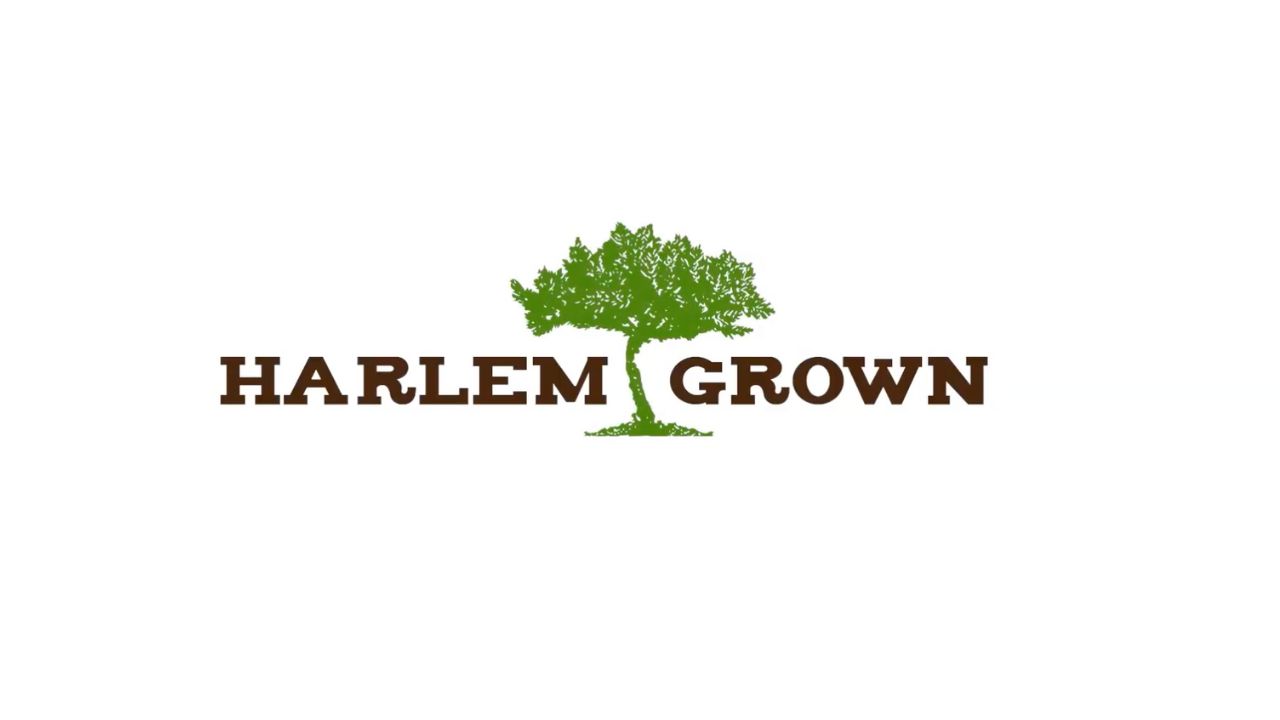 'Here and Now' talks Earth Day with Harlem Grown