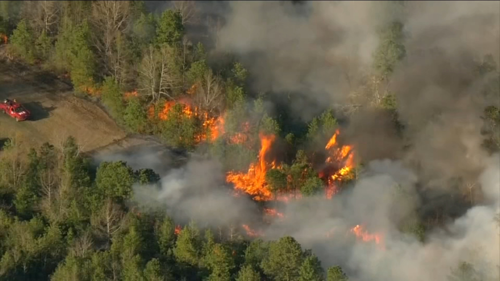 New Jersey wildfire: Blaze in Washington Township, Burlington County spans over 200 acres - Vimarsana News