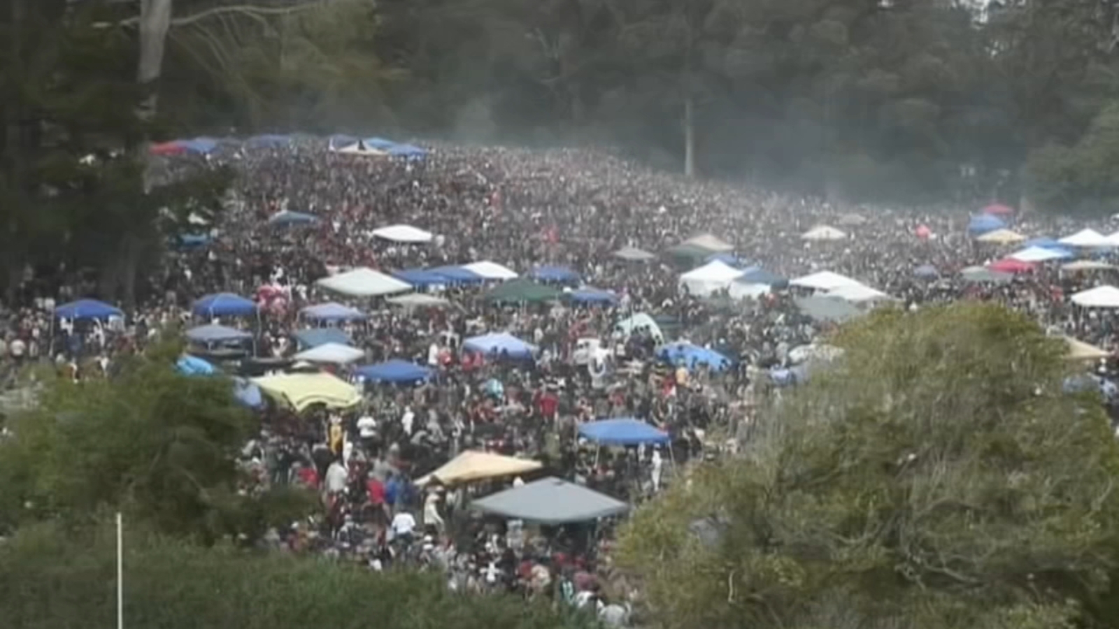 Here's how the Bay Area is celebrating 4/20 as thousands expected in SF's Golden Gate Park - Vimarsana News