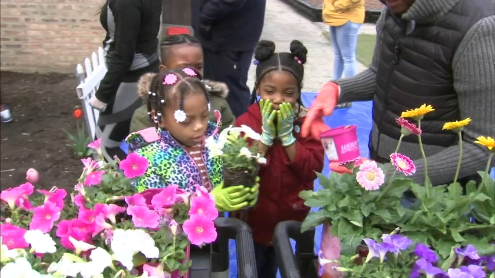Earth Day activities for kids 2023: Englewood, Chicago preschoolers plant garden for earth - Vimarsana News