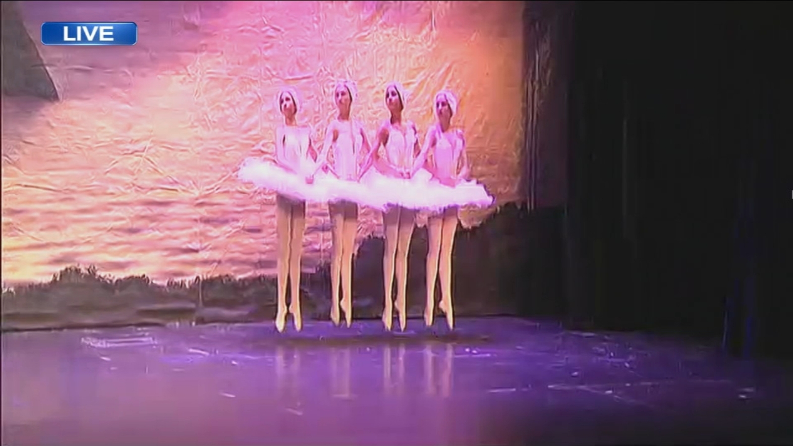 Westmont's Salt Creek Ballet presents 'Swan Lake' for family-friendly 2