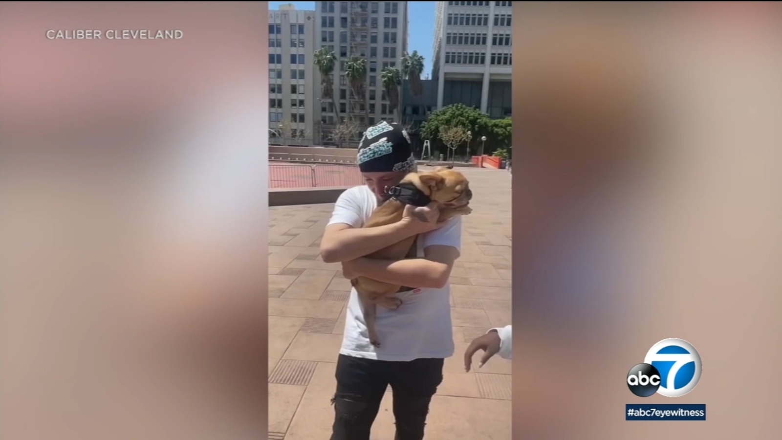 French bulldog stolen in downtown Los Angeles by food delivery driver reunited with its owners after 4 days - Vimarsana News
