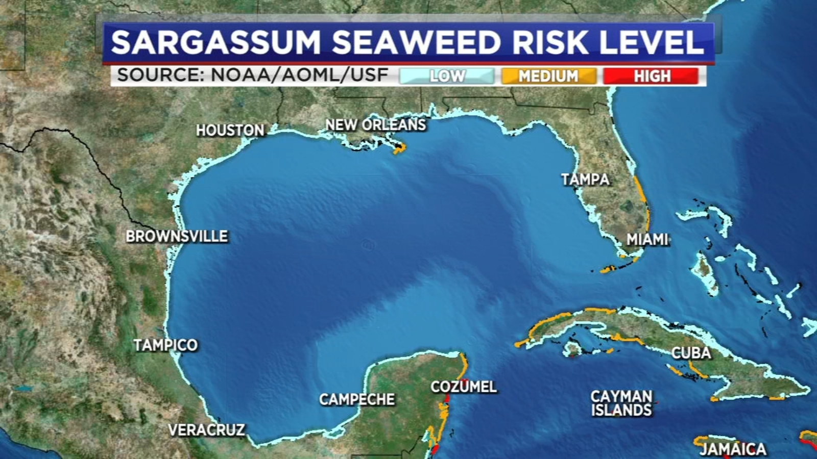 Low risk of additional Sargassum seaweed over next week, according to
