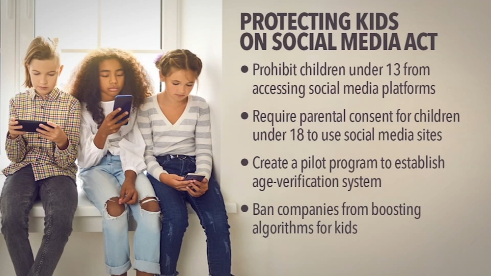 New Senate bill bans social media accounts for children under 13
