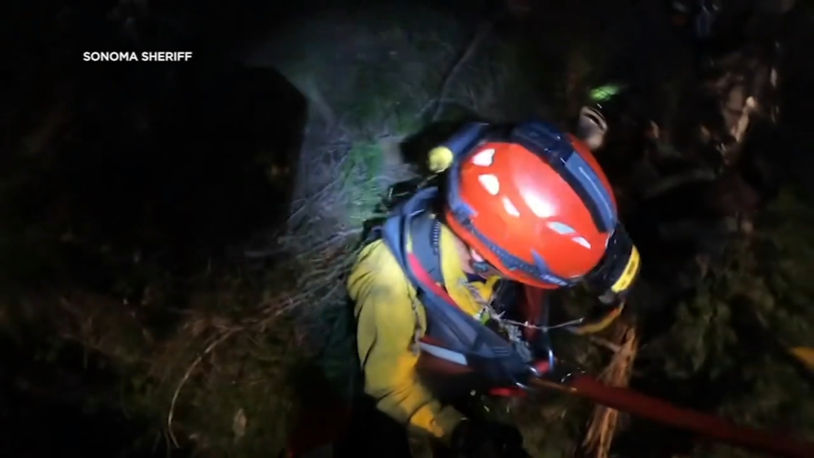 Driver recovering from major injuries after car goes over cliff on Mt Tamalpais sheriff says
