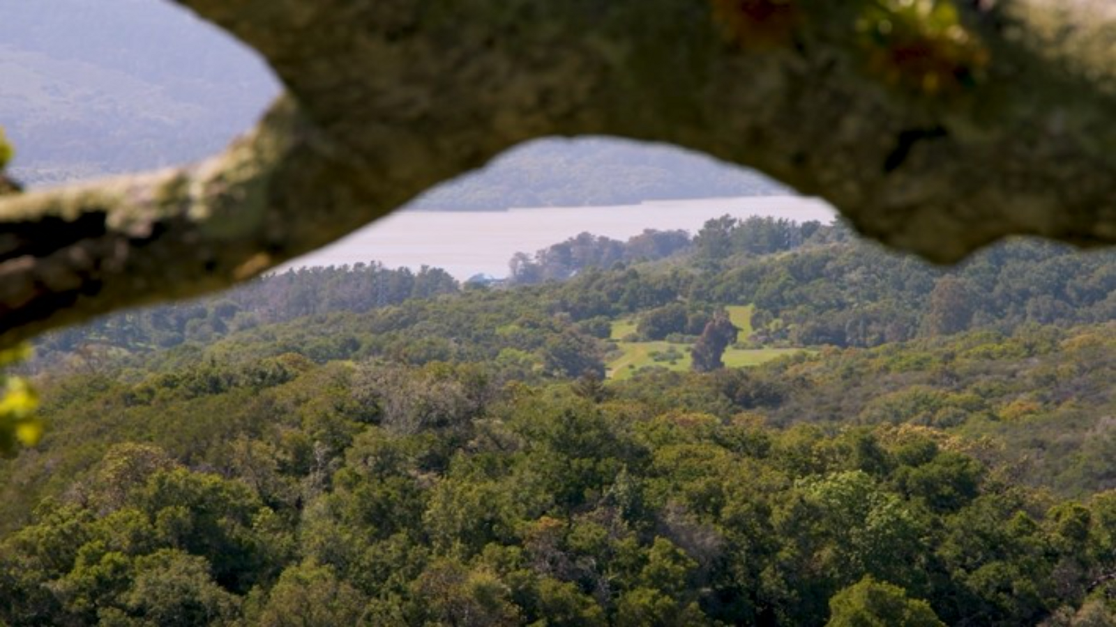 Green Foothills guards open spaces in San Mateo, Santa Clara counties for greener future by 2062 - Vimarsana News