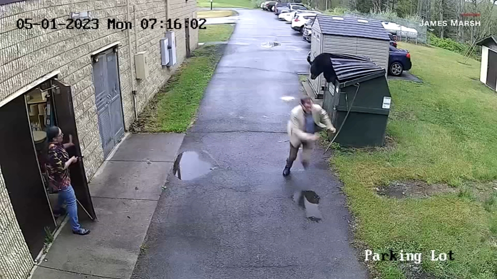 Bear jumps out of dumpster, scares elementary school principal