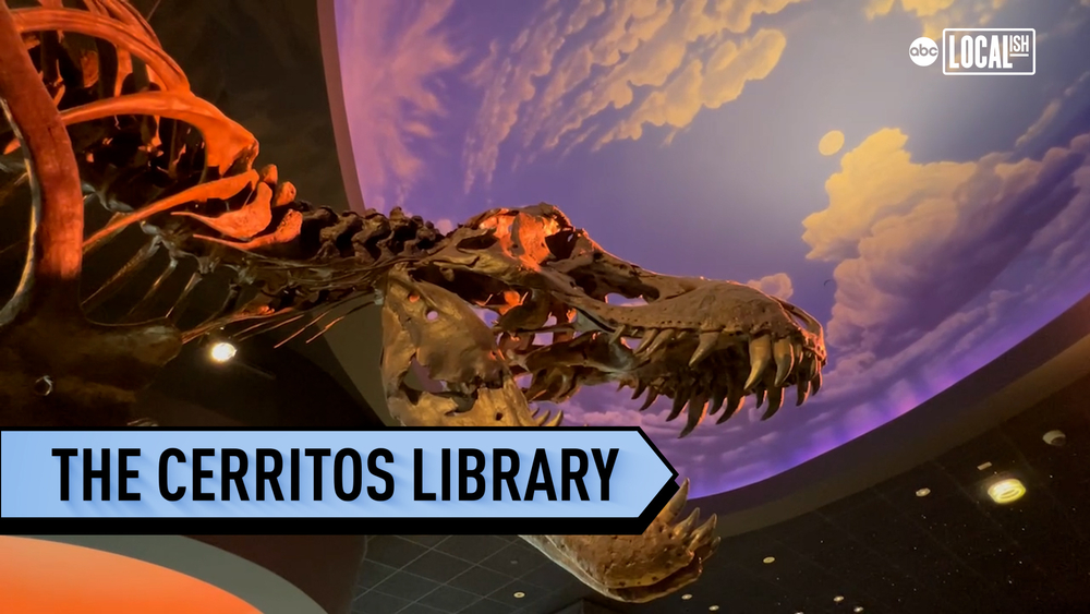 Cerritos Library is a full on immersive experience